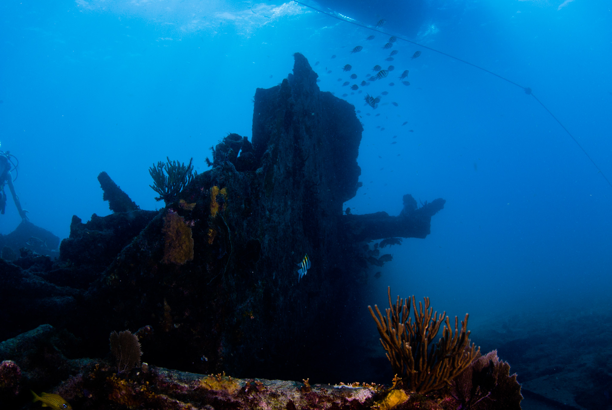 Bentwood Wreck