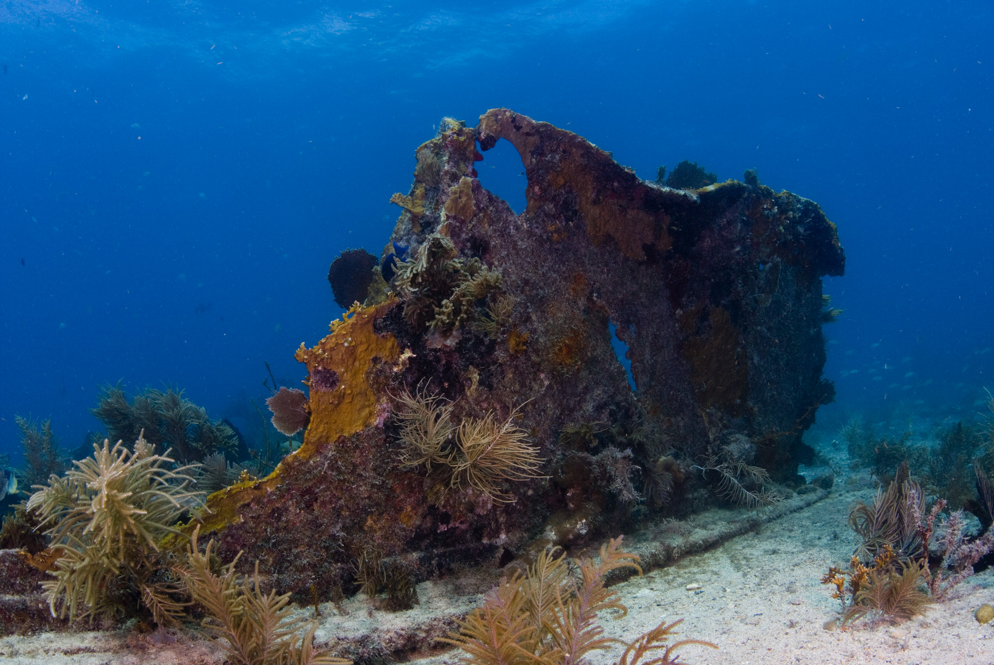 Benwood Wreck
