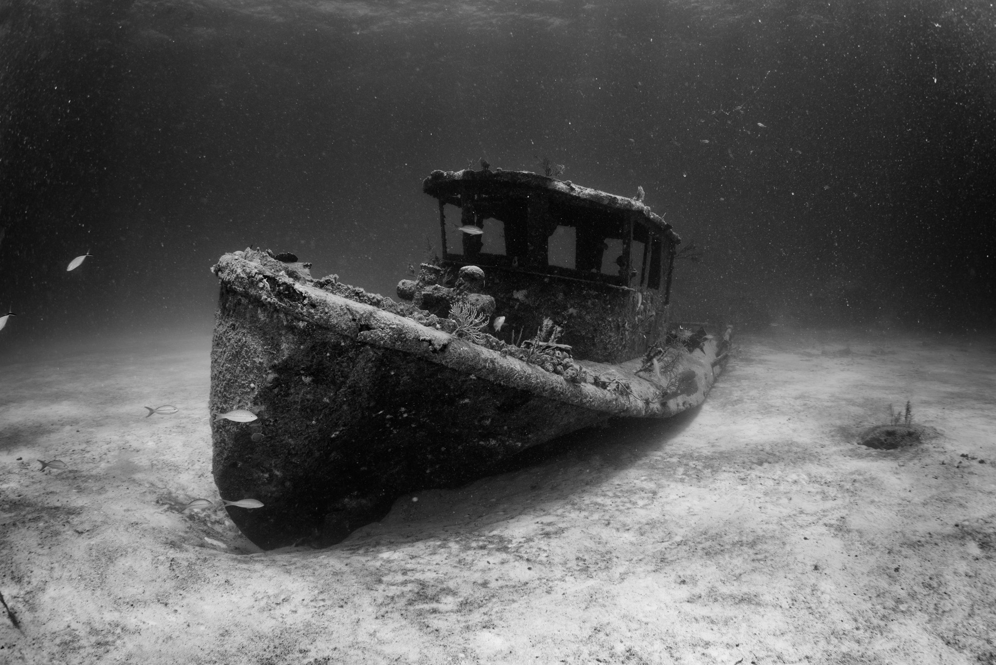 Papa Doc Tugboat