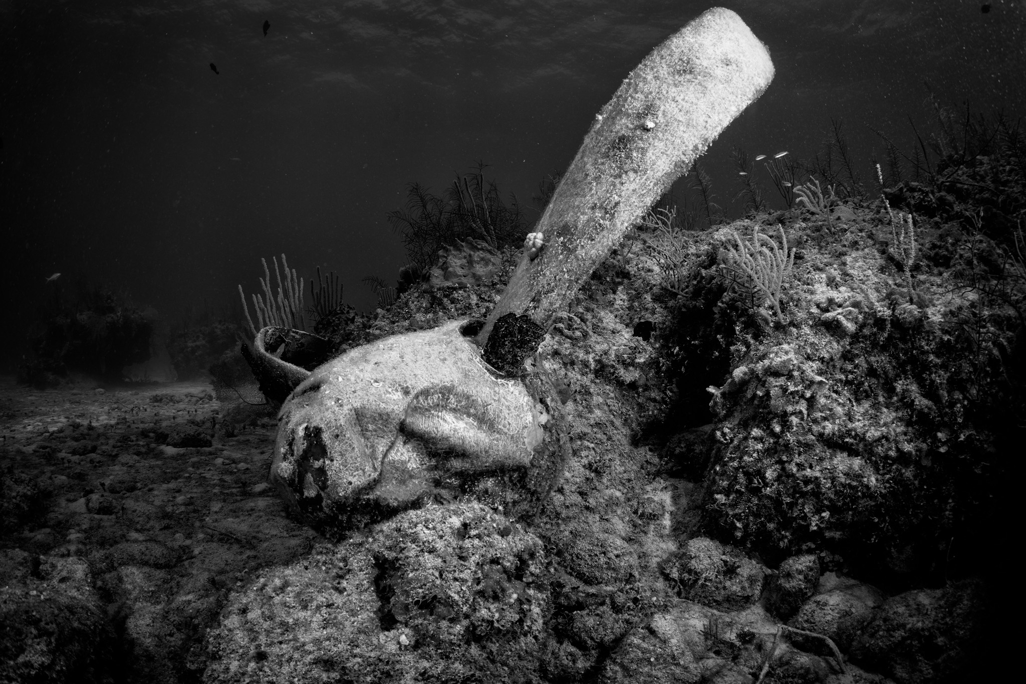 Propeller