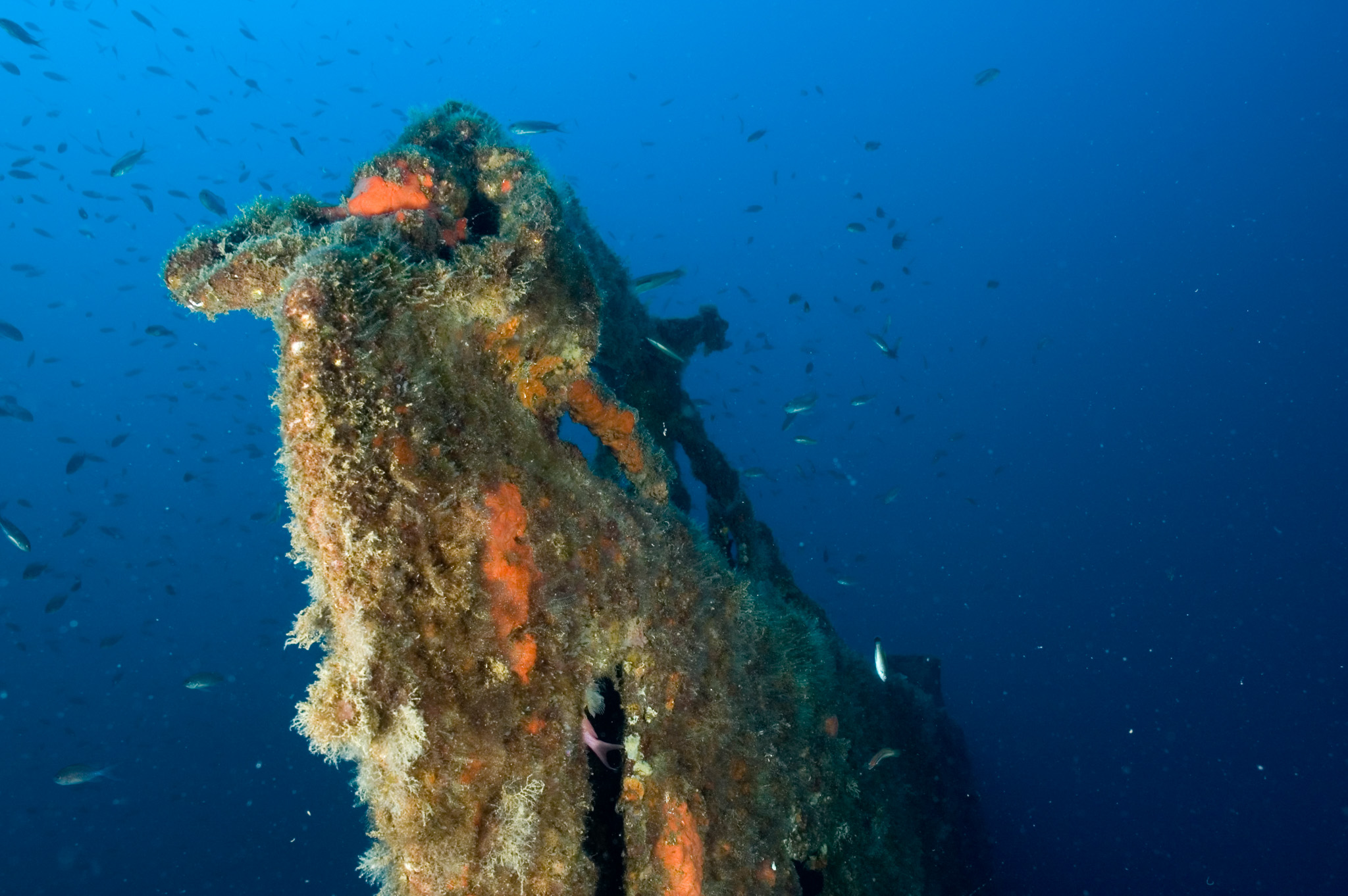 Submarine Rubis