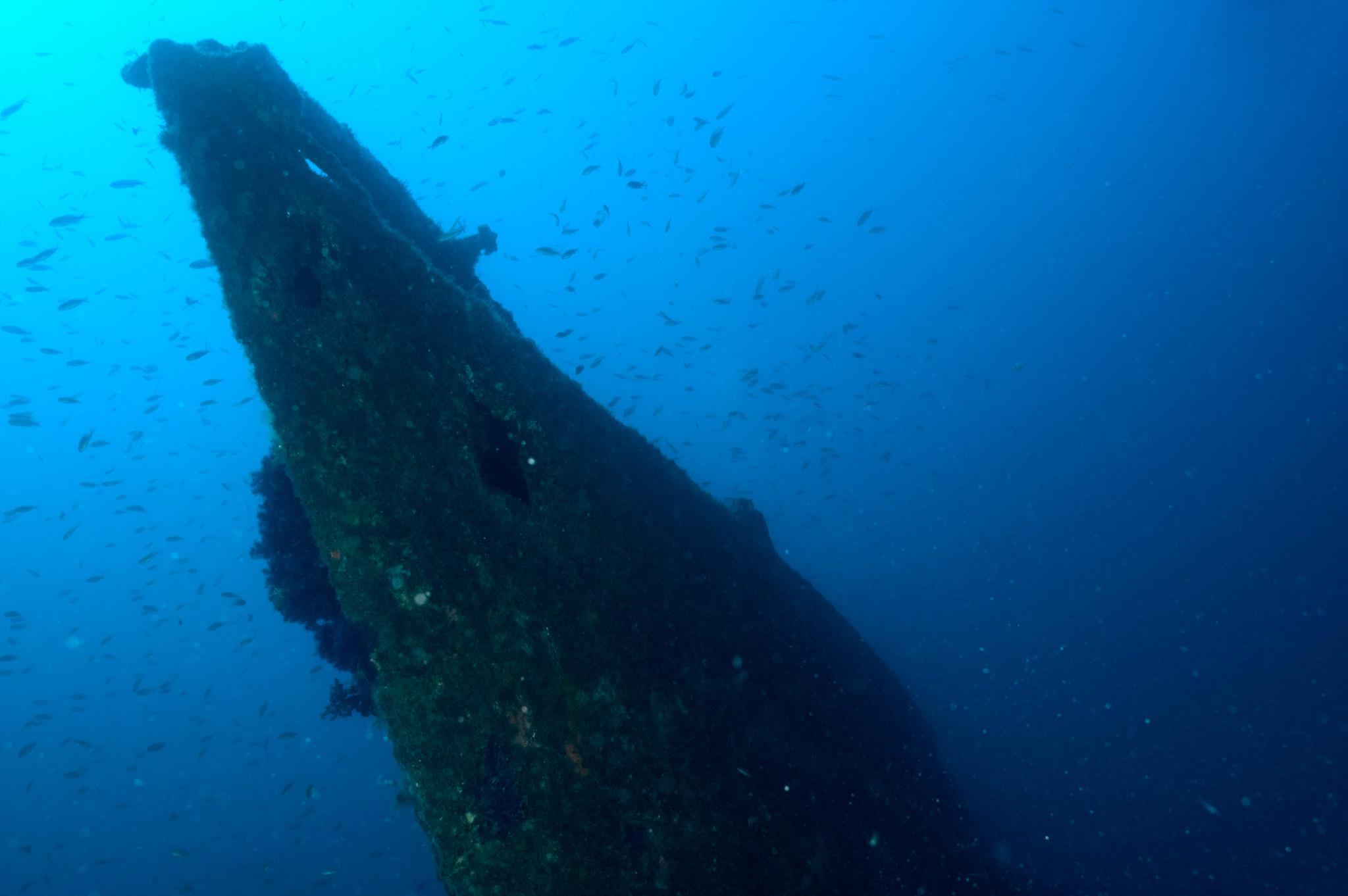 Submarine Rubis